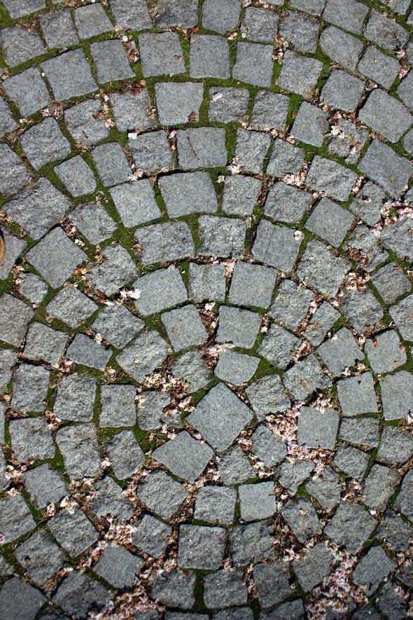 pebble-footpath-83_4 Камениста пътека