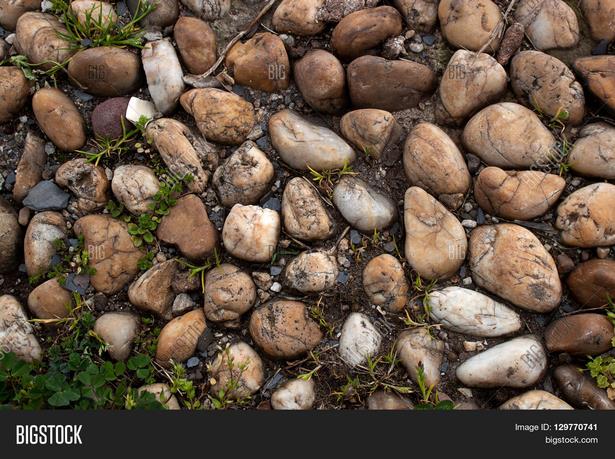 pebble-footpath-83_5 Камениста пътека