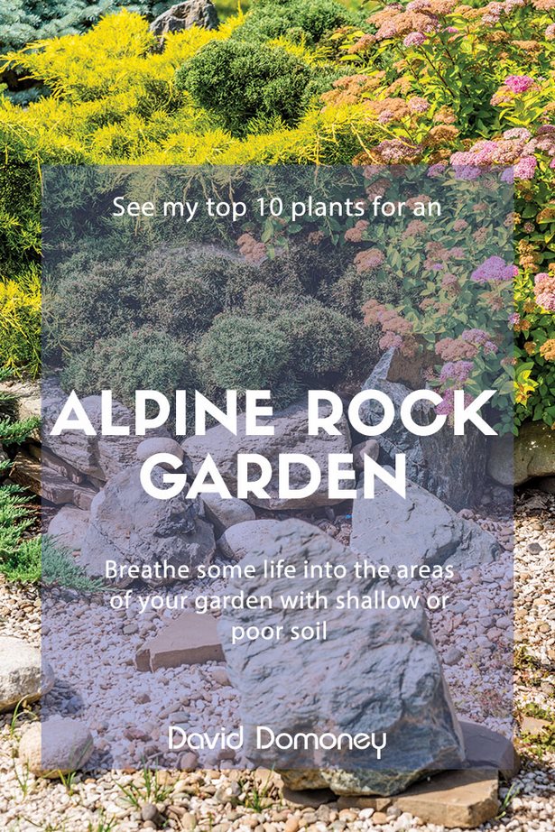 perennial-rock-garden-ideas-53_14 Многогодишна алпинеум идеи