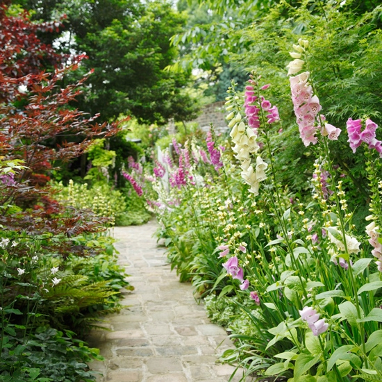 pictures-of-garden-paths-28 Снимки на градински пътеки