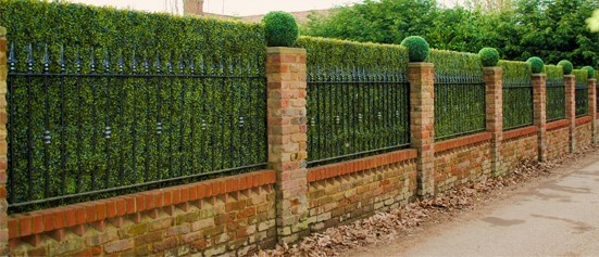 plant-fence-designs-52_11 Растения ограда дизайни