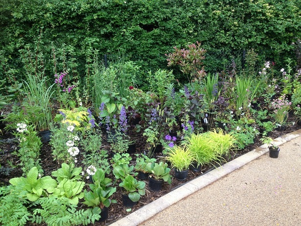 planting-garden-border-ideas-44_13 Засаждане на градински гранични идеи