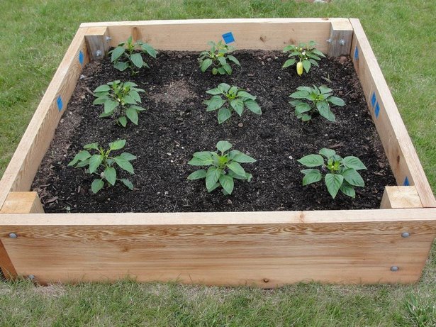 planting-in-a-raised-garden-bed-22 Засаждане в повдигнато градинско легло