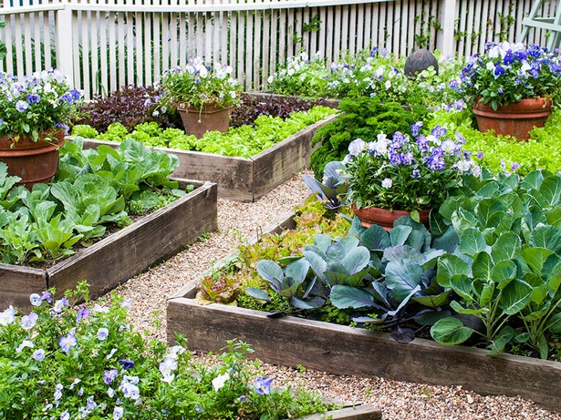 planting-in-a-raised-garden-bed-22_10 Засаждане в повдигнато градинско легло
