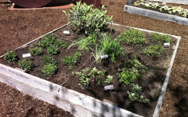 planting-in-a-raised-garden-bed-22_15 Засаждане в повдигнато градинско легло