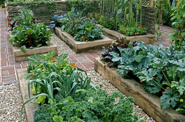 planting-in-a-raised-garden-bed-22_8 Засаждане в повдигнато градинско легло