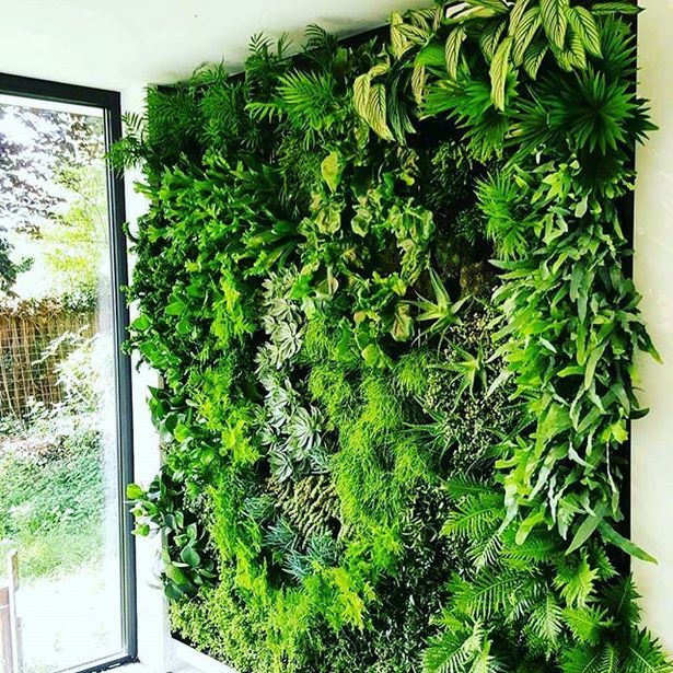 plants-on-walls-vertical-gardens-89 Растения по стените вертикални градини