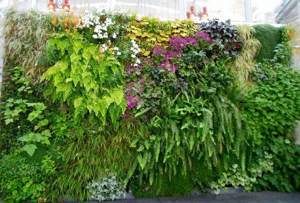 plants-on-walls-vertical-gardens-89_10 Растения по стените вертикални градини