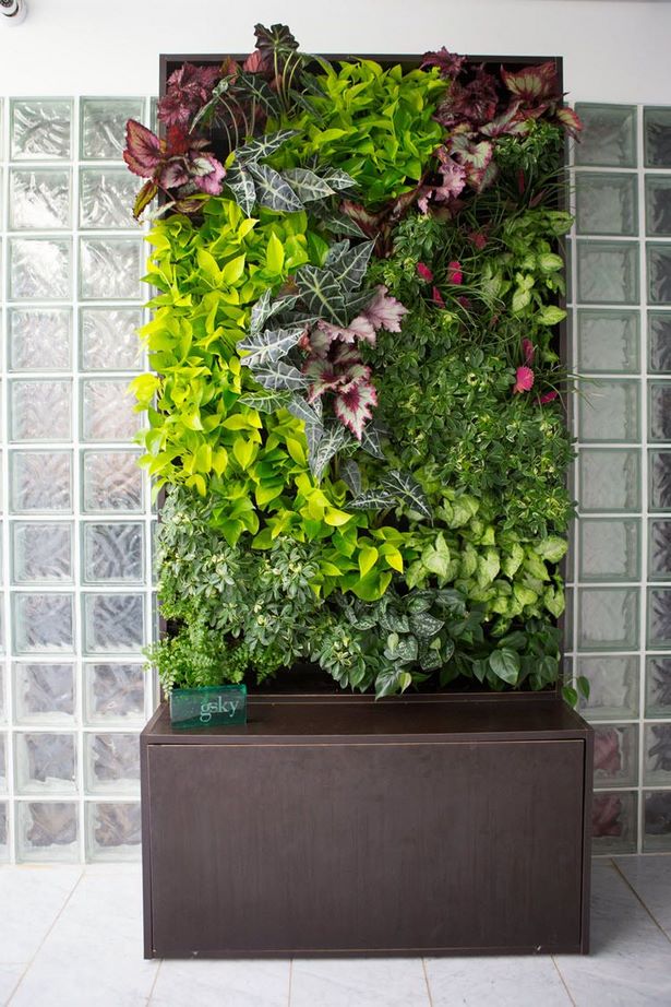 plants-on-walls-vertical-gardens-89_15 Растения по стените вертикални градини