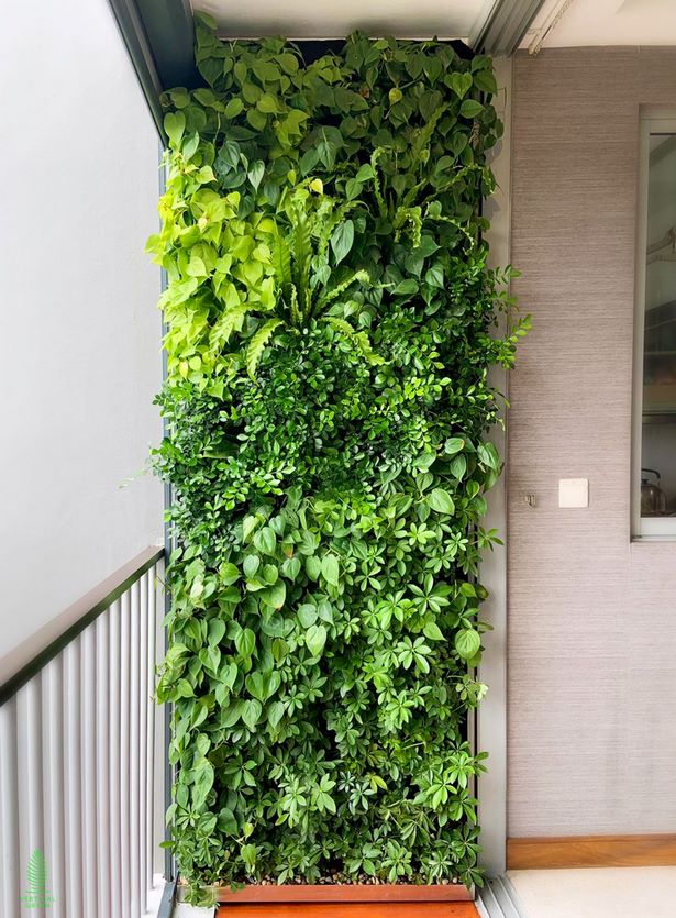 plants-on-walls-vertical-gardens-89_5 Растения по стените вертикални градини
