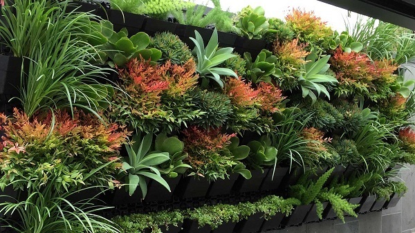 plants-on-walls-vertical-gardens-89_9 Растения по стените вертикални градини