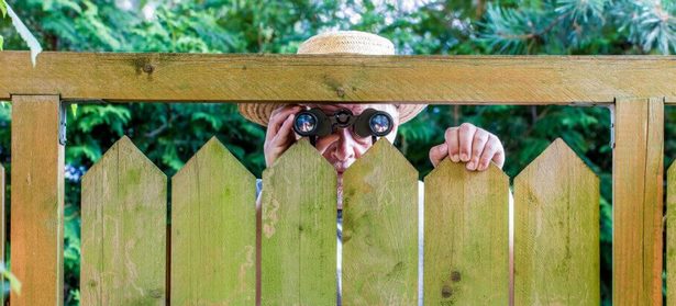 privacy-fence-garden-ideas-07_12 Уединение ограда градина идеи