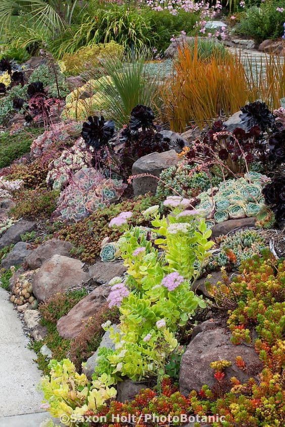 rock-garden-sloped-yard-09 Скална градина наклонен двор