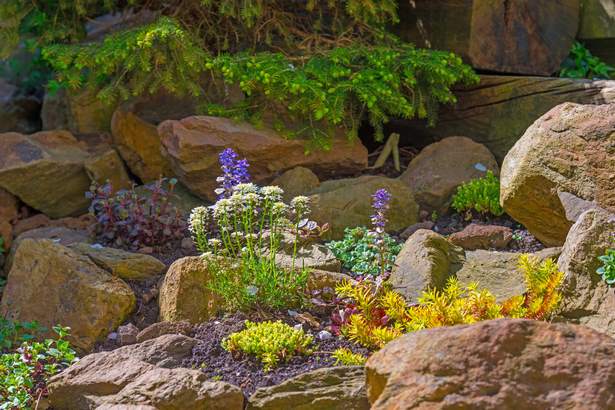 rock-garden-sloped-yard-09_12 Скална градина наклонен двор