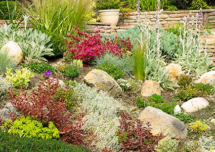 rock-garden-sloped-yard-09_13 Скална градина наклонен двор