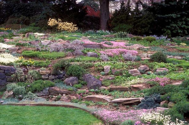 rock-garden-sloped-yard-09_3 Скална градина наклонен двор