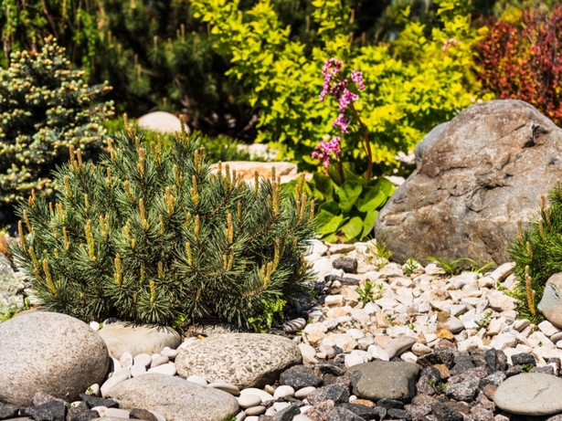 rock-garden-sloped-yard-09_8 Скална градина наклонен двор