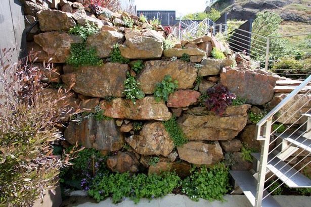 rock-wall-garden-20_10 Скална стена градина