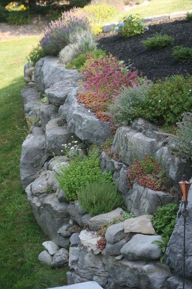 rock-wall-garden-20_5 Скална стена градина