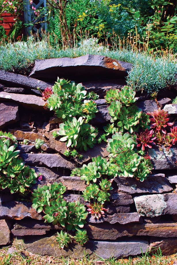 rock-wall-garden-20_8 Скална стена градина