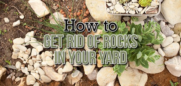rocks-in-your-garden-66_15 Камъни във вашата градина