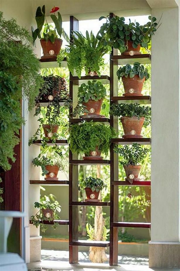simple-vertical-garden-56_10 Проста вертикална градина