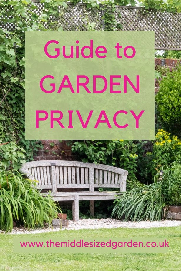 small-garden-ideas-for-privacy-51_16 Малки градински идеи за поверителност
