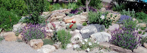 southwest-rock-garden-designs-39_8 Югозападна рок градина дизайни