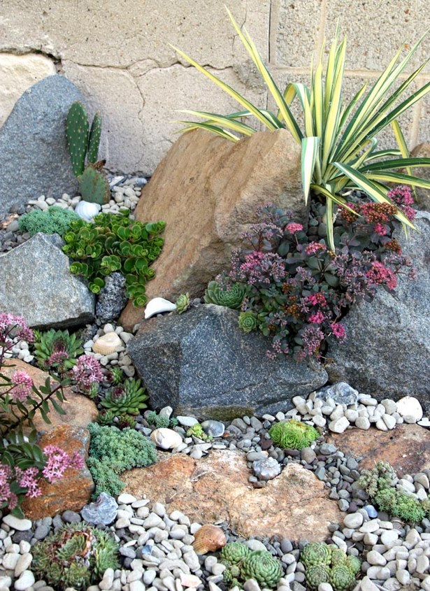 succulent-rock-garden-design-37_15 Сочен рок градина дизайн