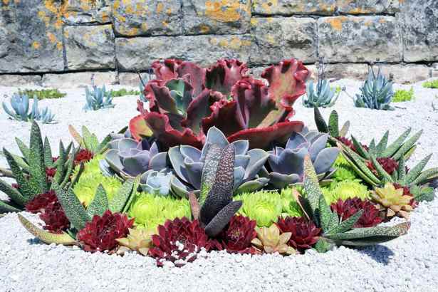 succulent-rock-garden-design-37_3 Сочен рок градина дизайн