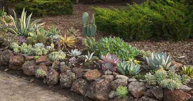succulent-rock-garden-design-37_5 Сочен рок градина дизайн