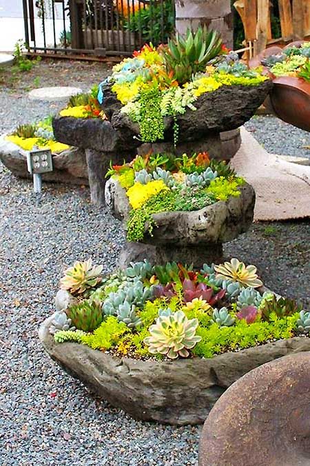 succulent-rock-garden-design-37_6 Сочен рок градина дизайн