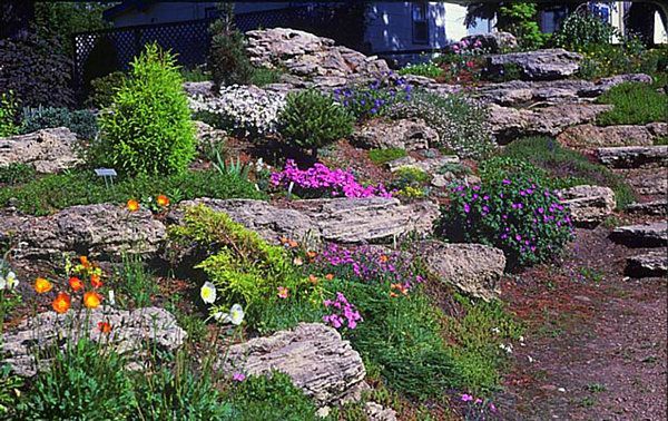 terraced-rock-garden-40_9 Терасовидна алпинеум