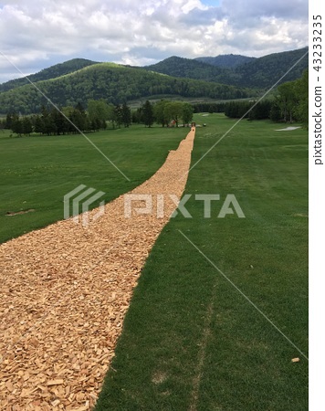 wood-chip-path-43_7 Дървен чип пътека