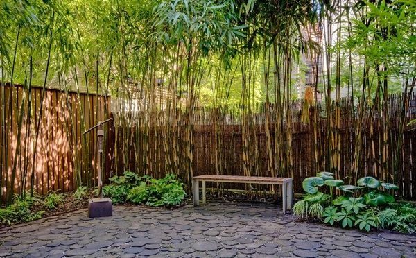 bamboo-garden-design-pictures-27_15 Бамбук градина дизайн снимки