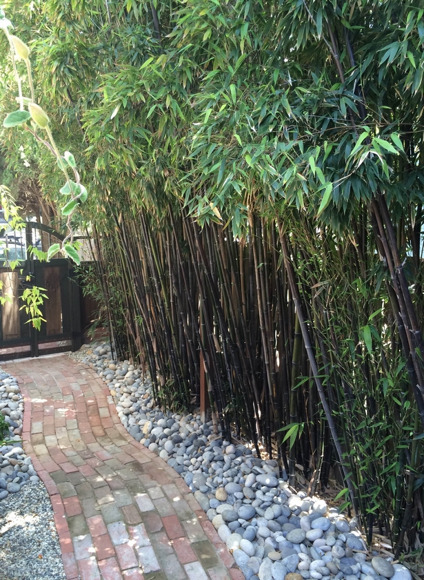 bamboo-garden-design-pictures-27_17 Бамбук градина дизайн снимки