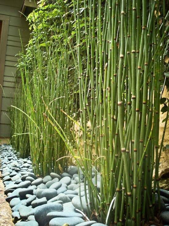 bamboo-garden-design-pictures-27_2 Бамбук градина дизайн снимки