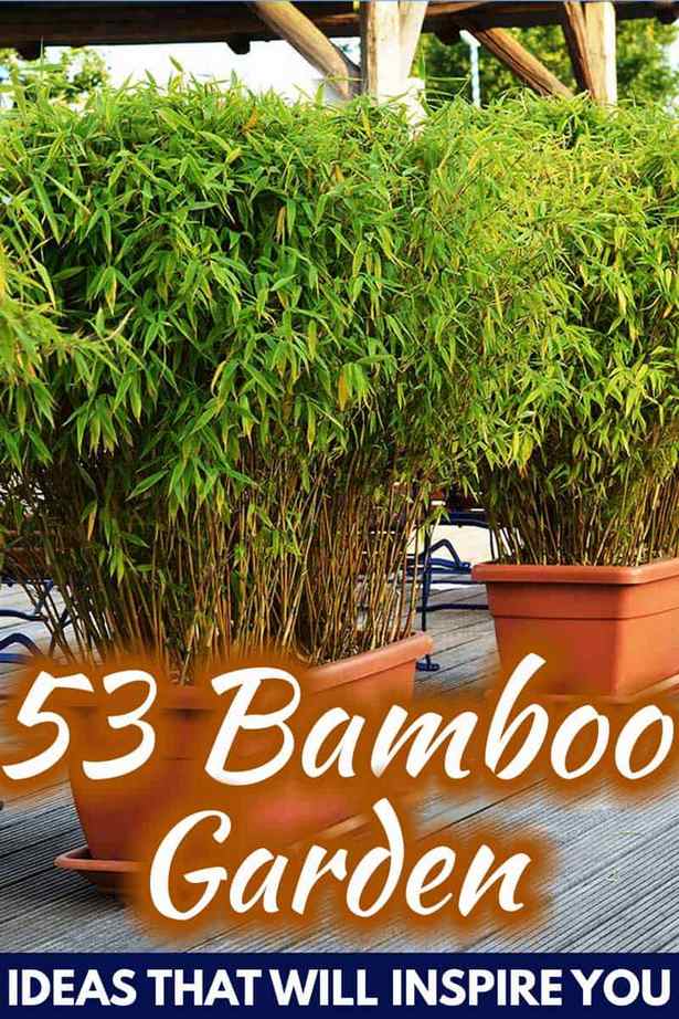 bamboo-garden-design-pictures-27_5 Бамбук градина дизайн снимки