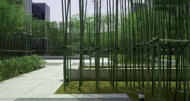 bamboo-garden-design-pictures-27_8 Бамбук градина дизайн снимки