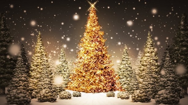 beautiful-outdoor-christmas-lights-18_12 Красиви външни коледни светлини