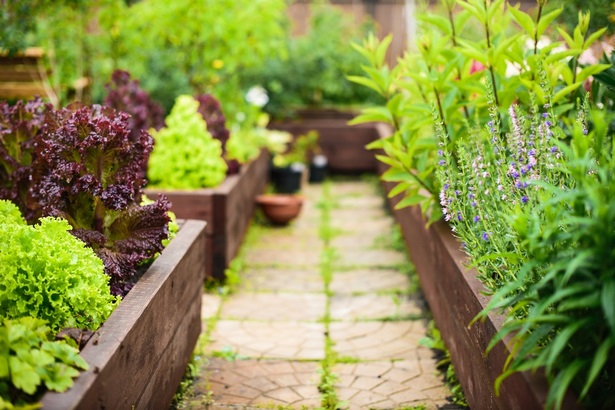 benefits-of-raised-garden-beds-90 Предимства на повдигнатите градински легла
