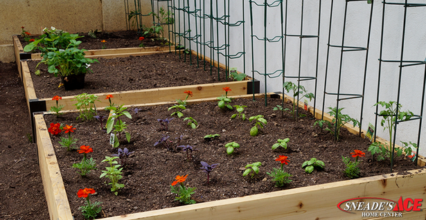 benefits-of-raised-garden-beds-90 Предимства на повдигнатите градински легла
