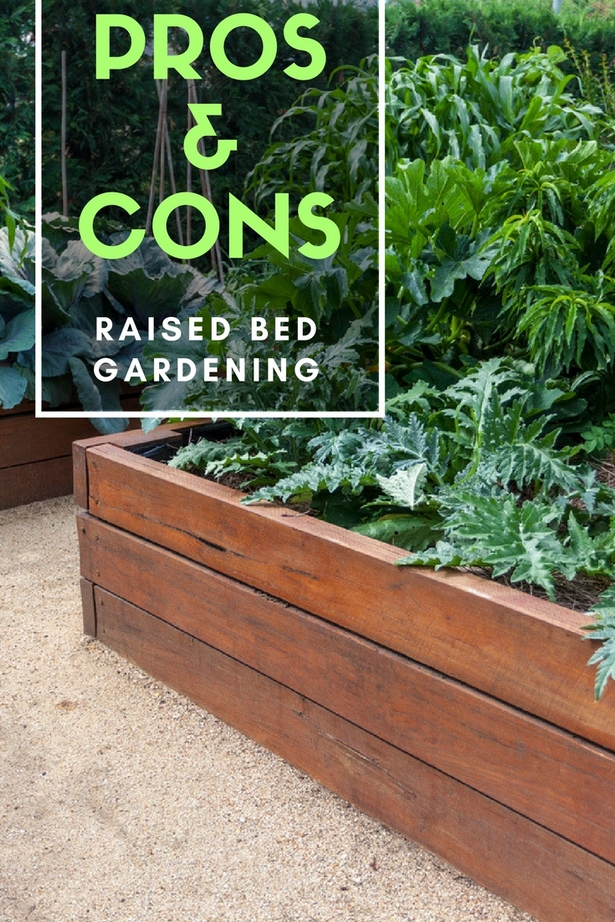 benefits-of-raised-garden-beds-90_14 Предимства на повдигнатите градински легла