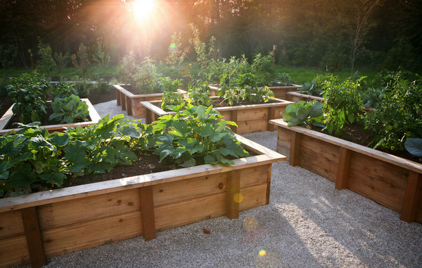 benefits-of-raised-garden-beds-90_2 Предимства на повдигнатите градински легла