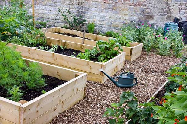 benefits-of-raised-garden-beds-90_6 Предимства на повдигнатите градински легла