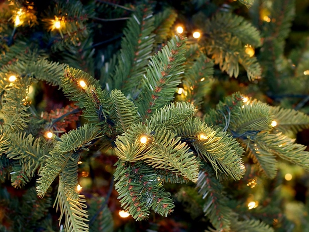 best-christmas-lights-for-outside-17_16 Най-добрите коледни светлини за навън