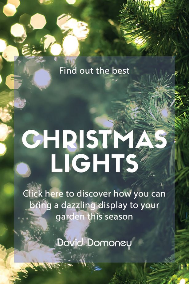 best-exterior-christmas-lights-90_4 Най-добрите екстериорни коледни светлини