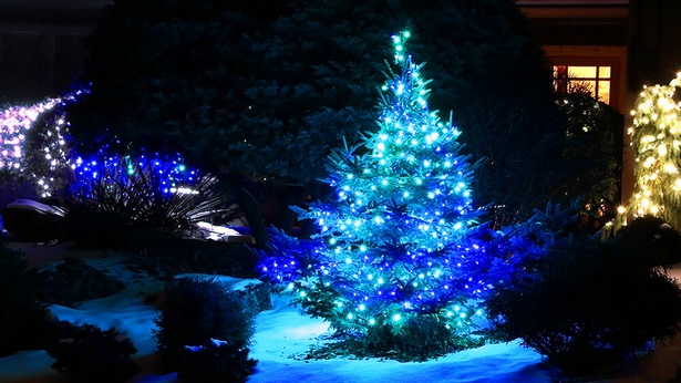 blue-and-white-christmas-lights-07_13 Сини и бели коледни светлини