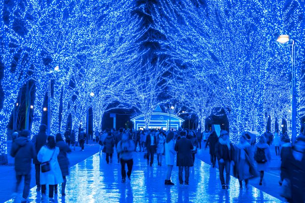 blue-christmas-lights-70_8 Сини коледни светлини