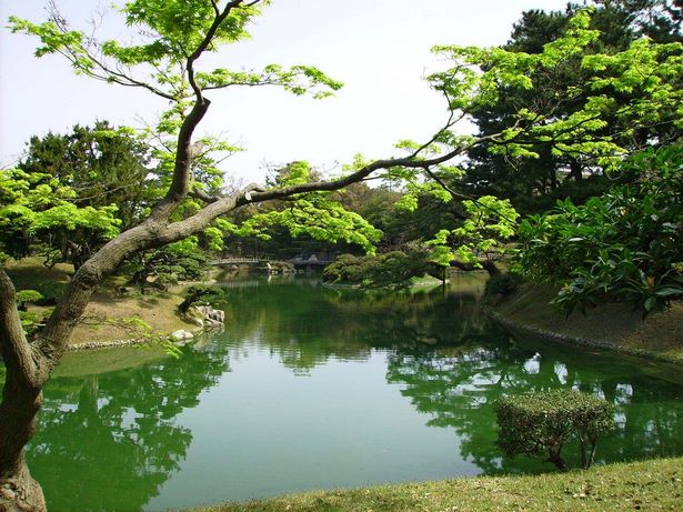 characteristics-of-japanese-garden-31_17 Характеристики на японската градина